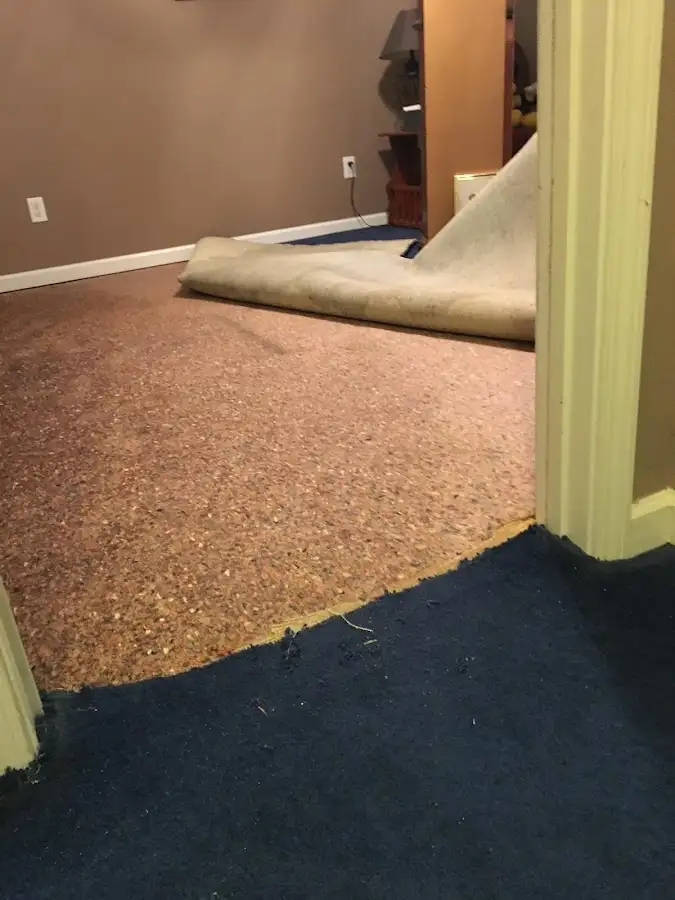 Carpet pad removal revealing water damage during Drying & Dehumidification in Cape Girardeau
