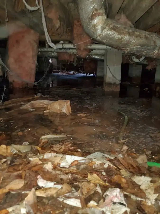 Crawl space flood assessment for Commercial Water Damage Restoration in Cape Girardeau