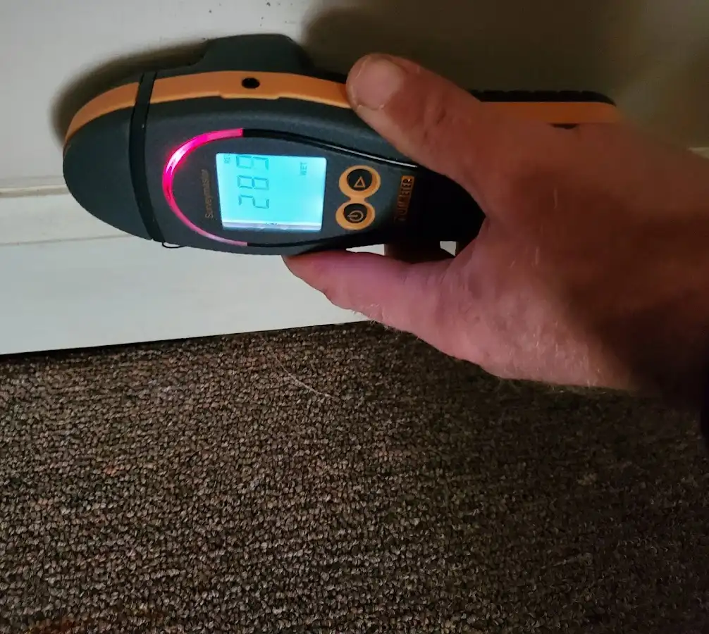 Moisture detection at baseboard during Sewage Cleanup & Sanitation in Cape Girardeau